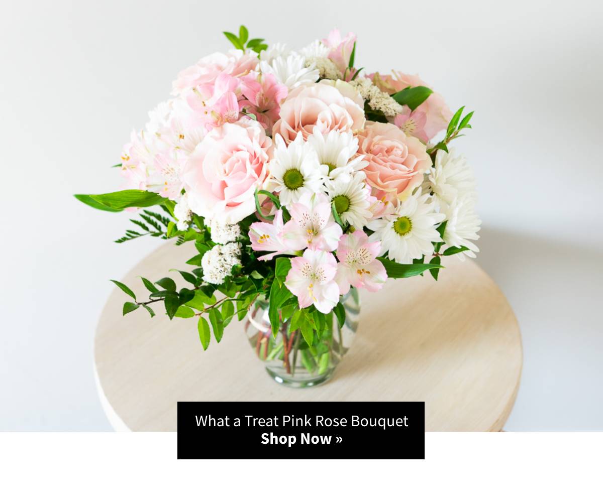 Shop Now »