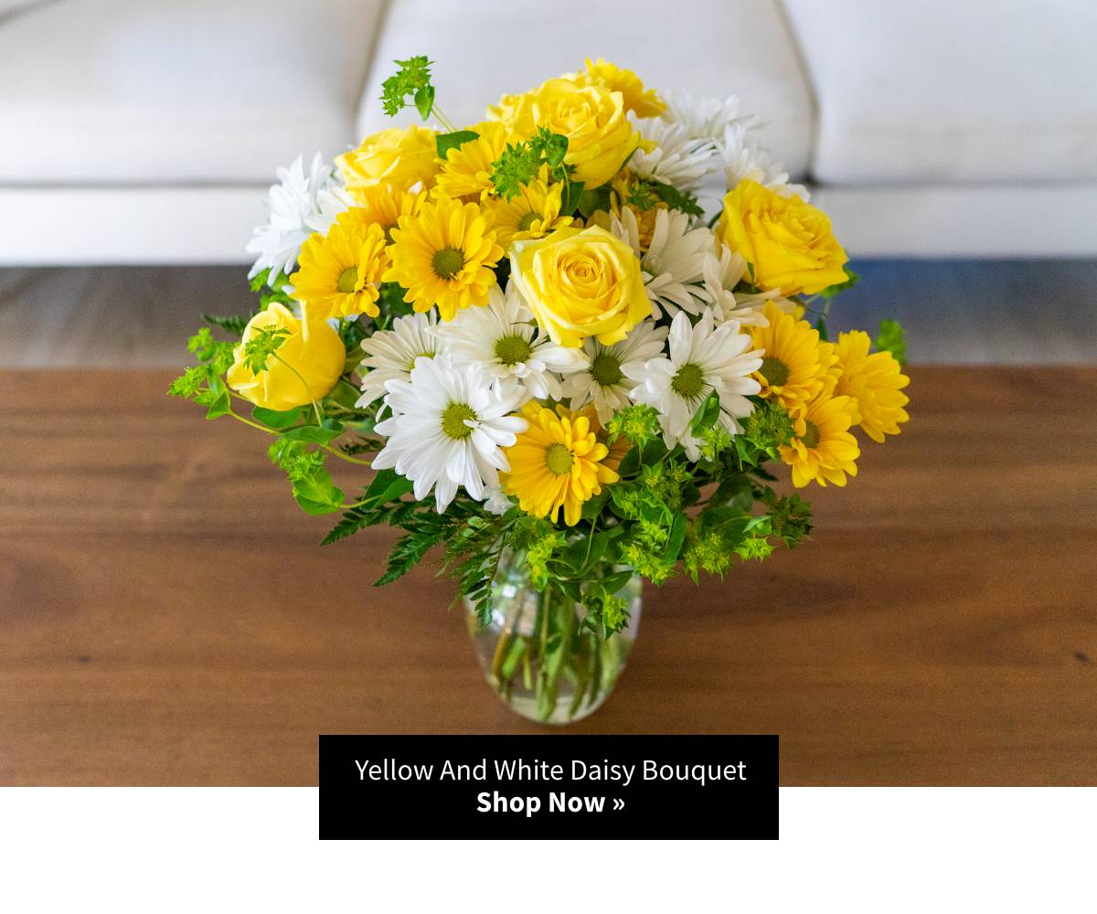 Shop Now »