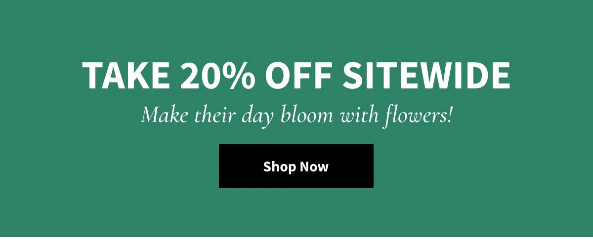 Take 20% Off Sitewide -  Shop Now »