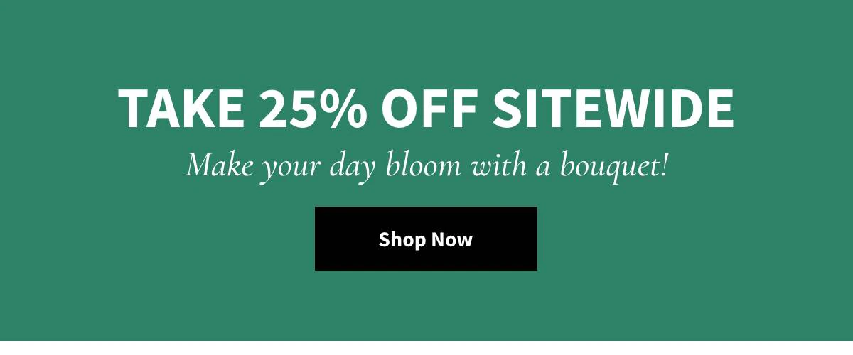 Take 25% Off Sitewide -  Shop Now »