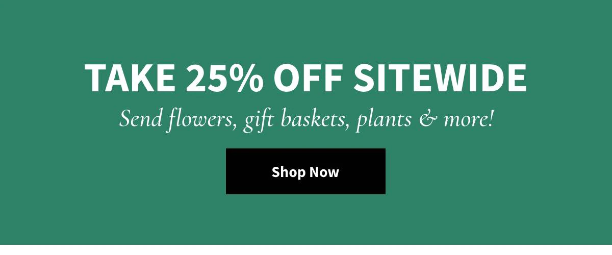 Take 25% Off Sitewide - Shop Now