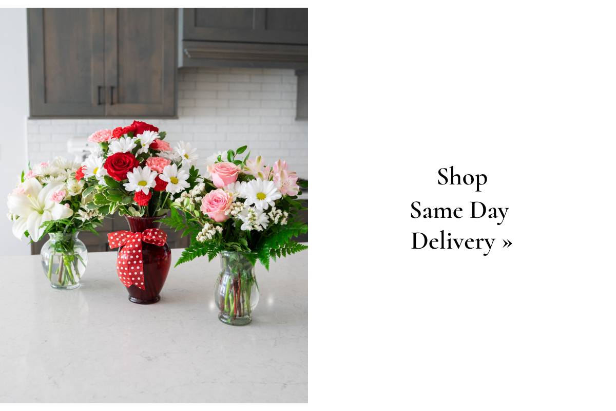 Shop Same Day Delivery »