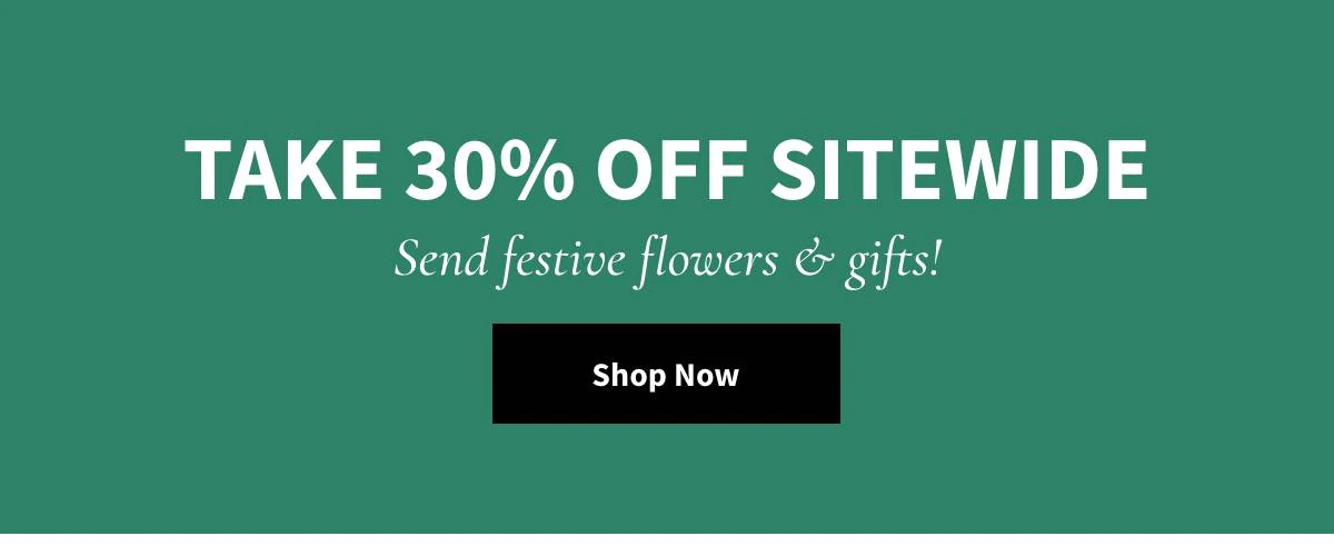 Take 30% Off Sitewide. Shop Now »