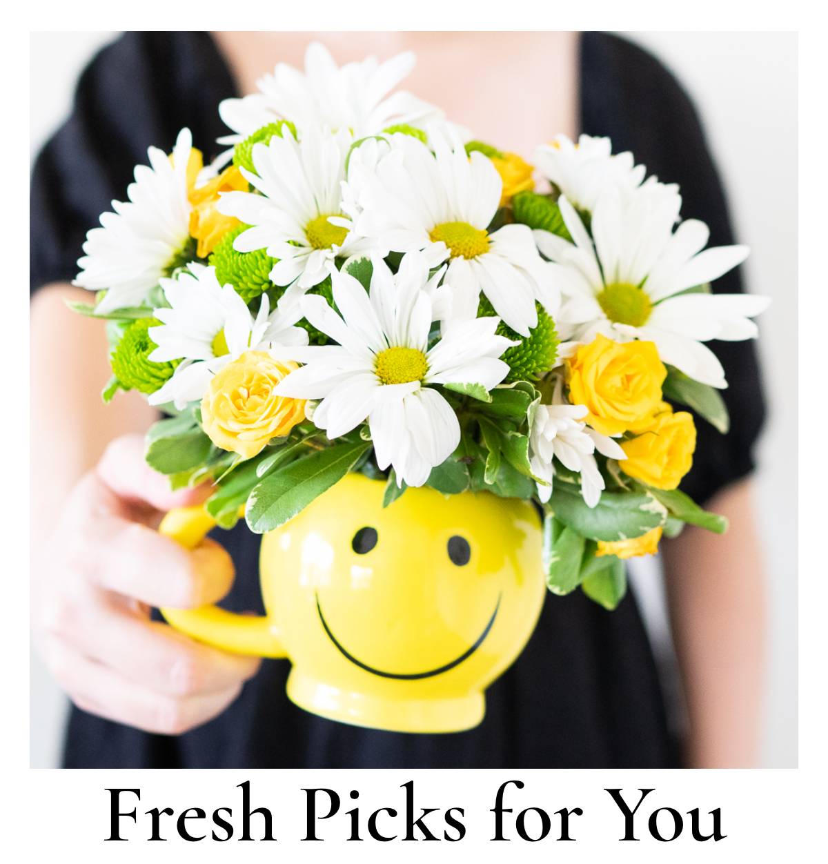 Fresh Picks for You »