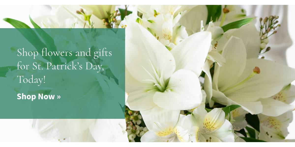 Shop flowers and gifts for St. Patrick's Day, Today! Shop Now »