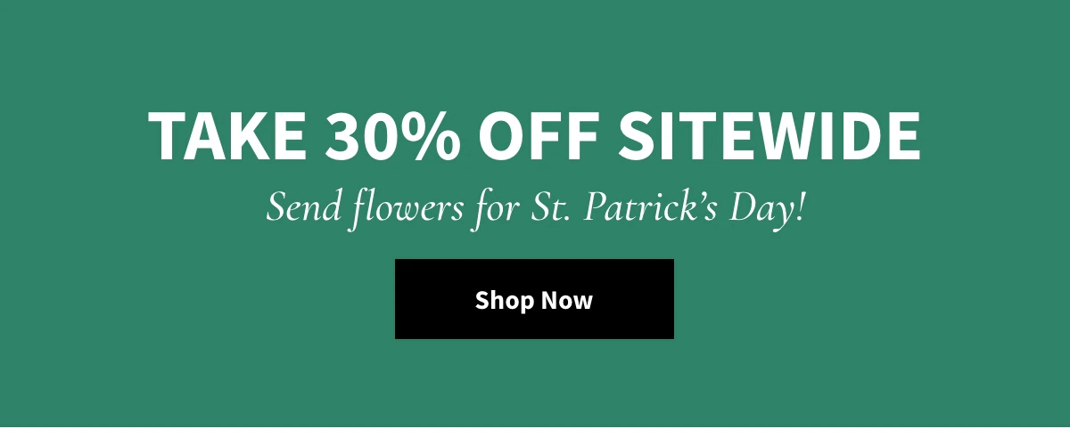 Take 30% OFF Sitewide. Shop Now »