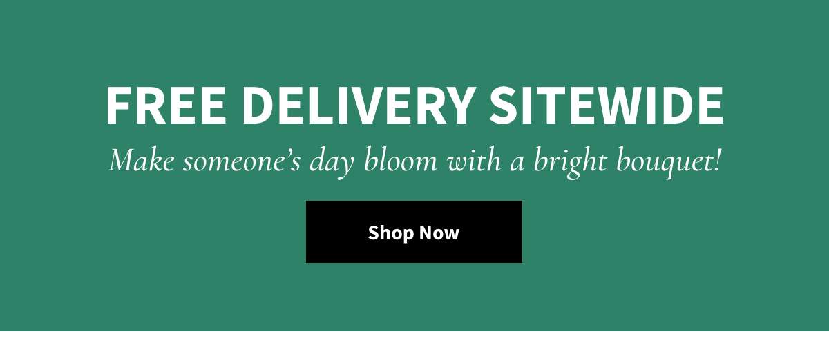 Free Delivery Sitewide -  Shop Now »