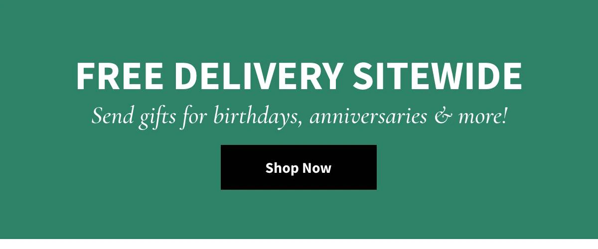 Free Delivery Sitewide - Shop Now