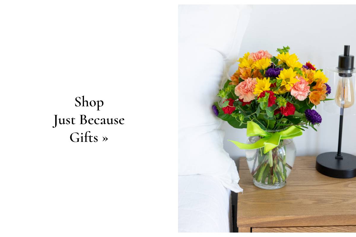 Shop Just Because Gifts 			  »