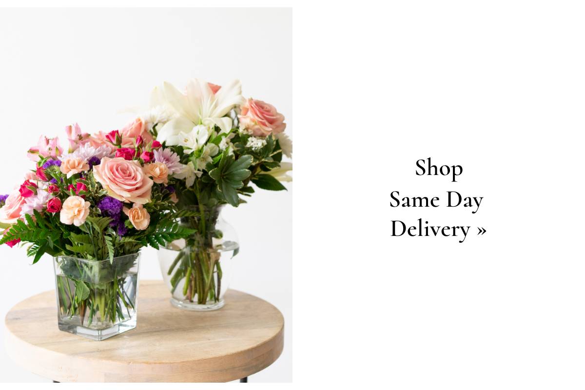 Shop Same Day Delivery »