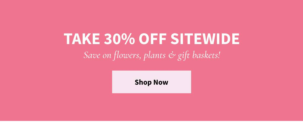 Take 30% Off Sitewide -  Shop Now »