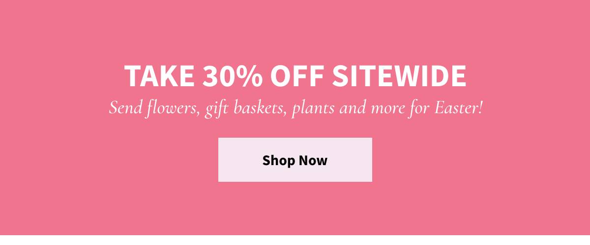 Take 30% off sitewide - Shop Now