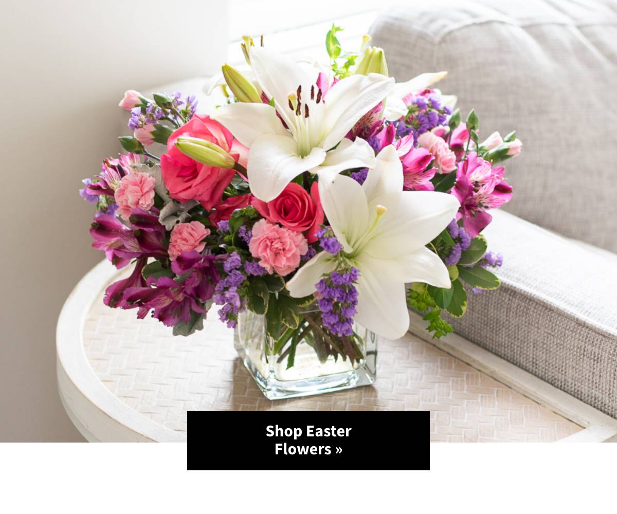 Shop Now »