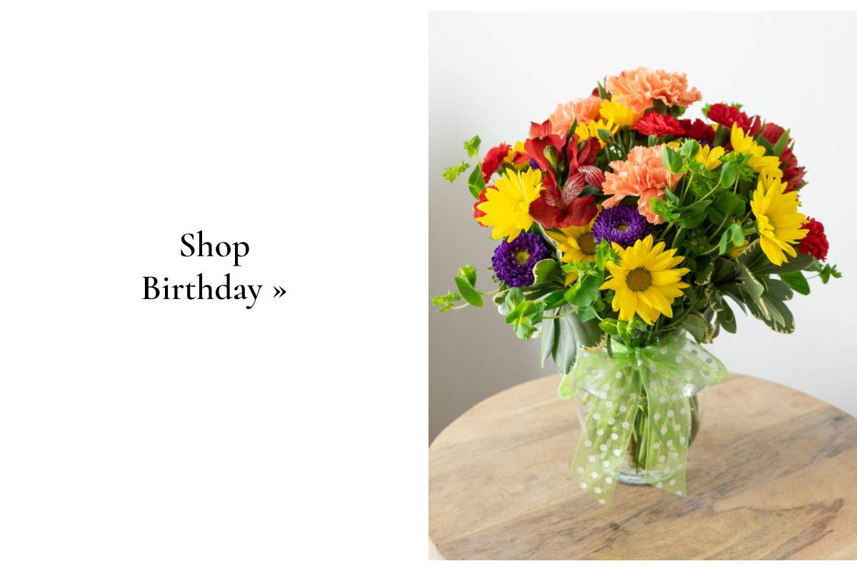 Shop Birthday »
