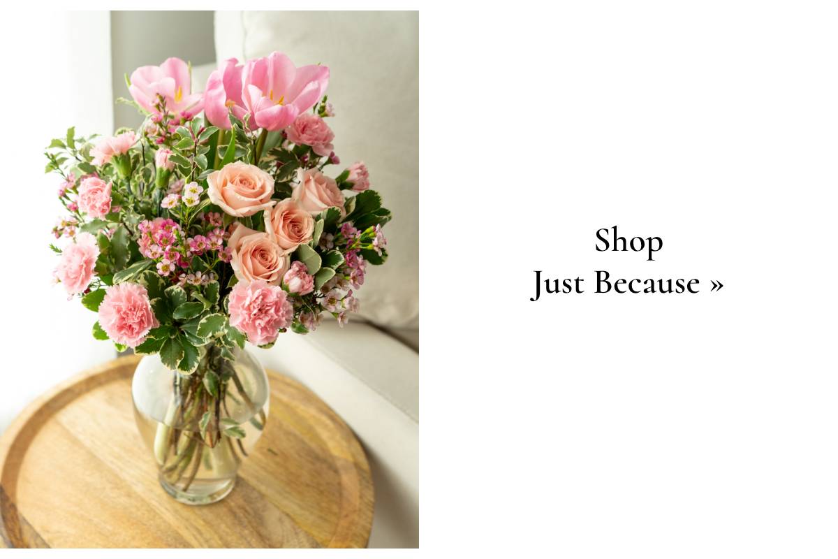 Shop Just Because »