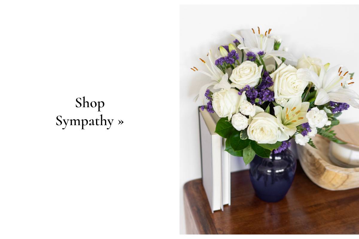 Shop Sympathy »