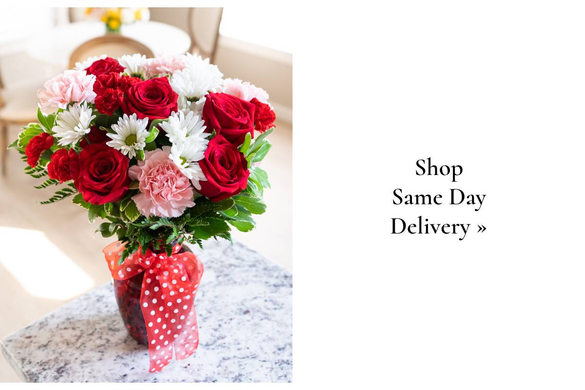 Shop Same Day Delivery »
