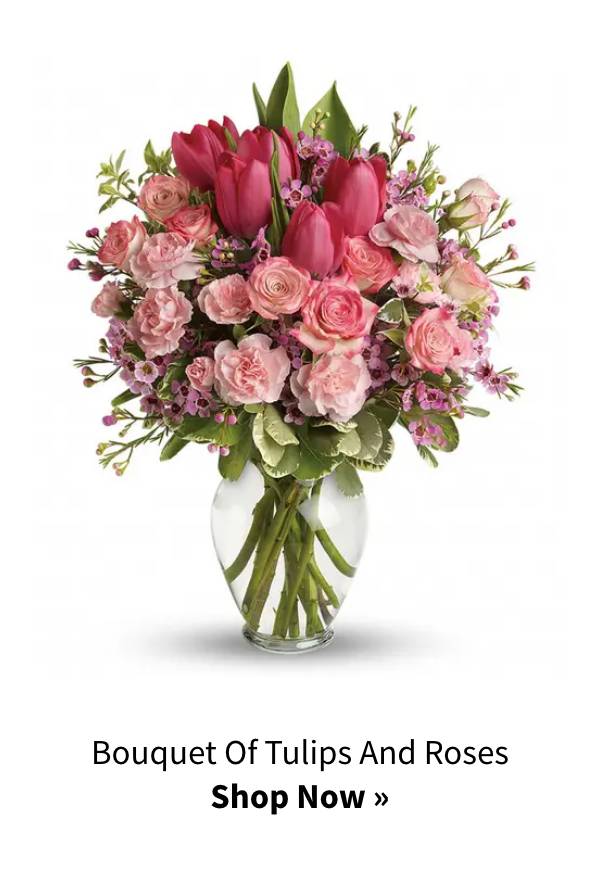 Shop Now »