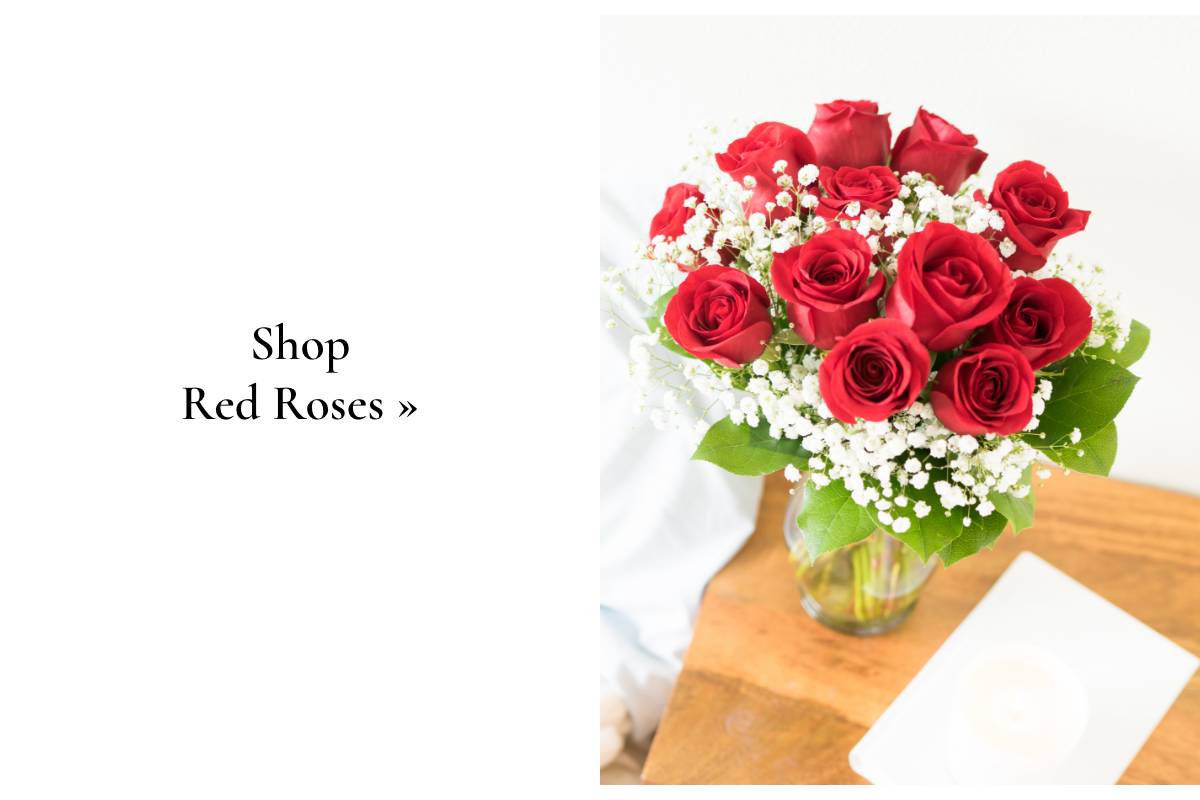 Shop Red Roses »