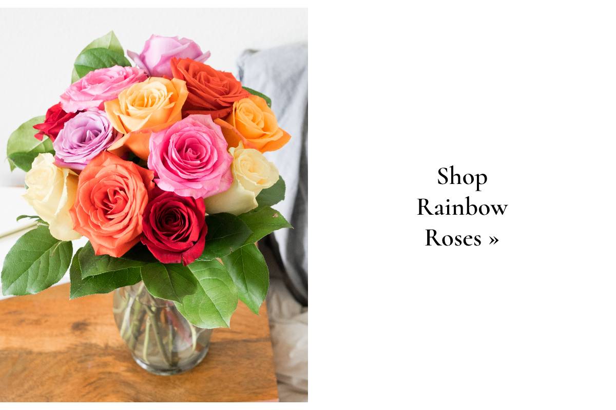 Shop Rainbow Roses »