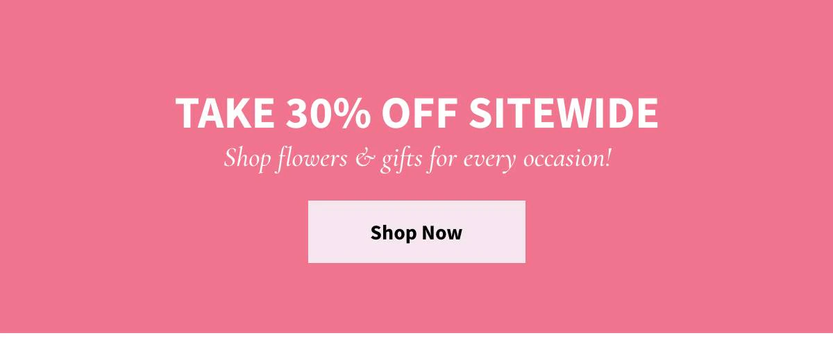 Take 30% Off Sitewide - Shop Now