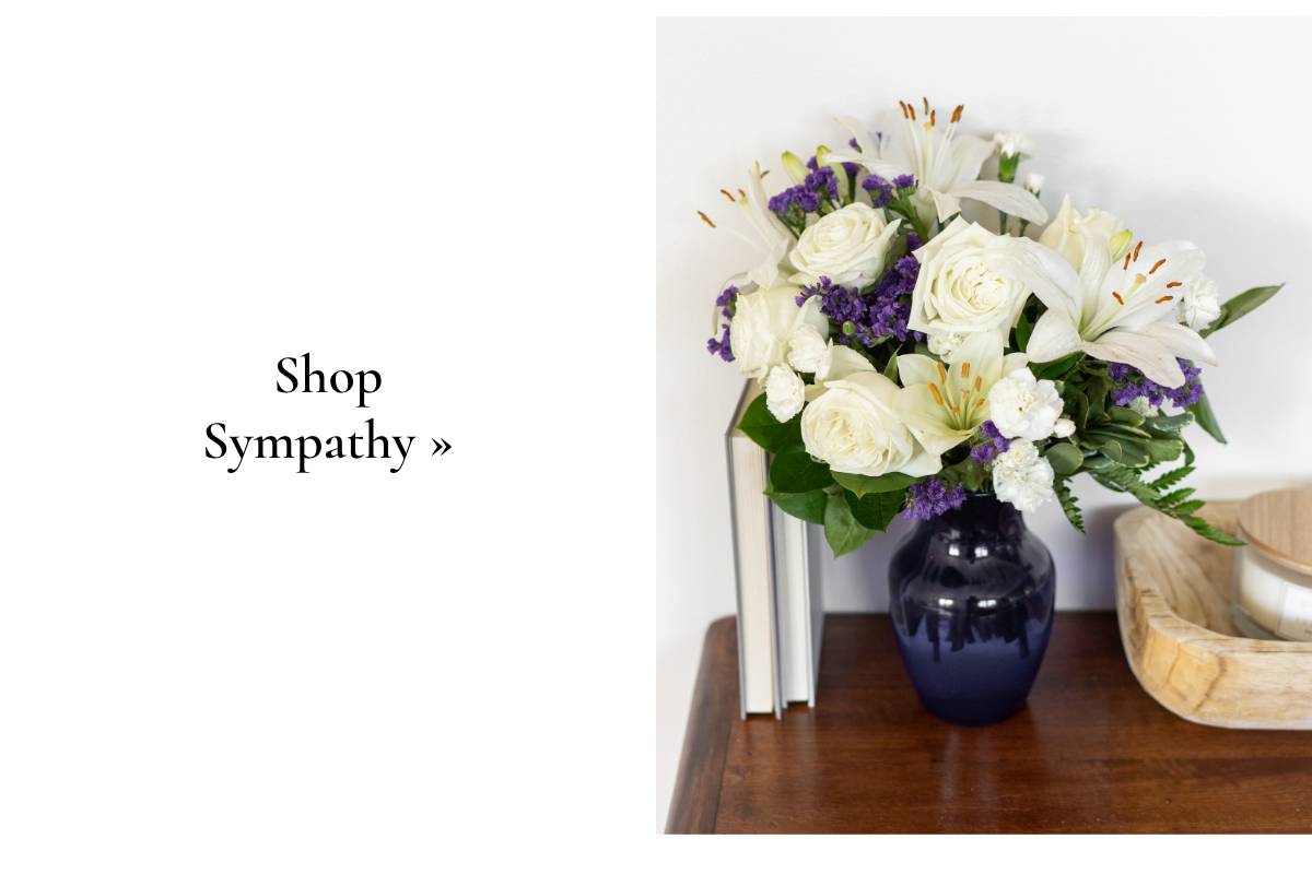 Shop Sympathy »