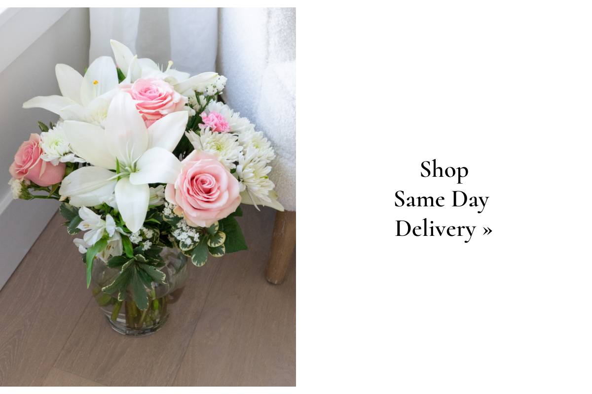 Shop Same Day Delivery »