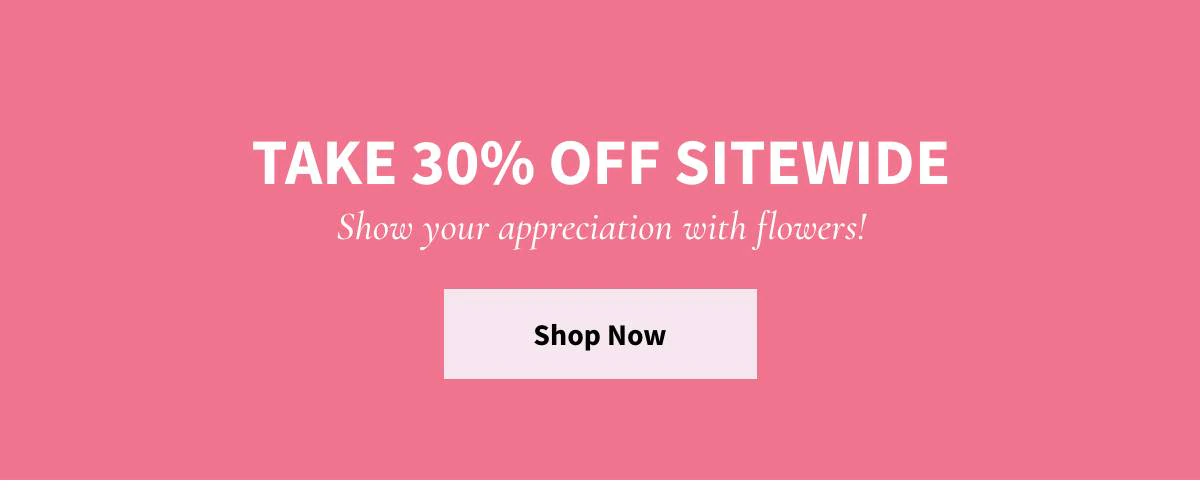 Take 30% off sitewide - Shop Now