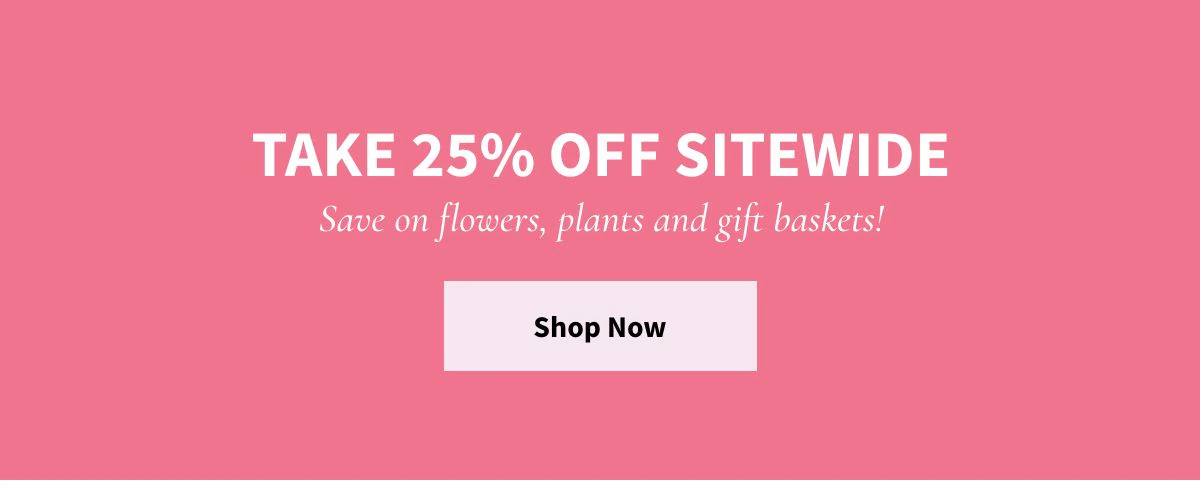 Take 25% Off Sitewide -  Shop Now »