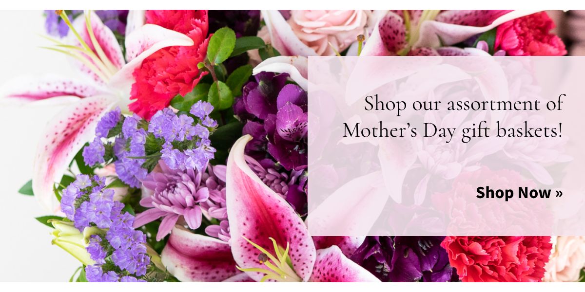 Shop our assortment of Mother's Day gift baskets! Shop Now »