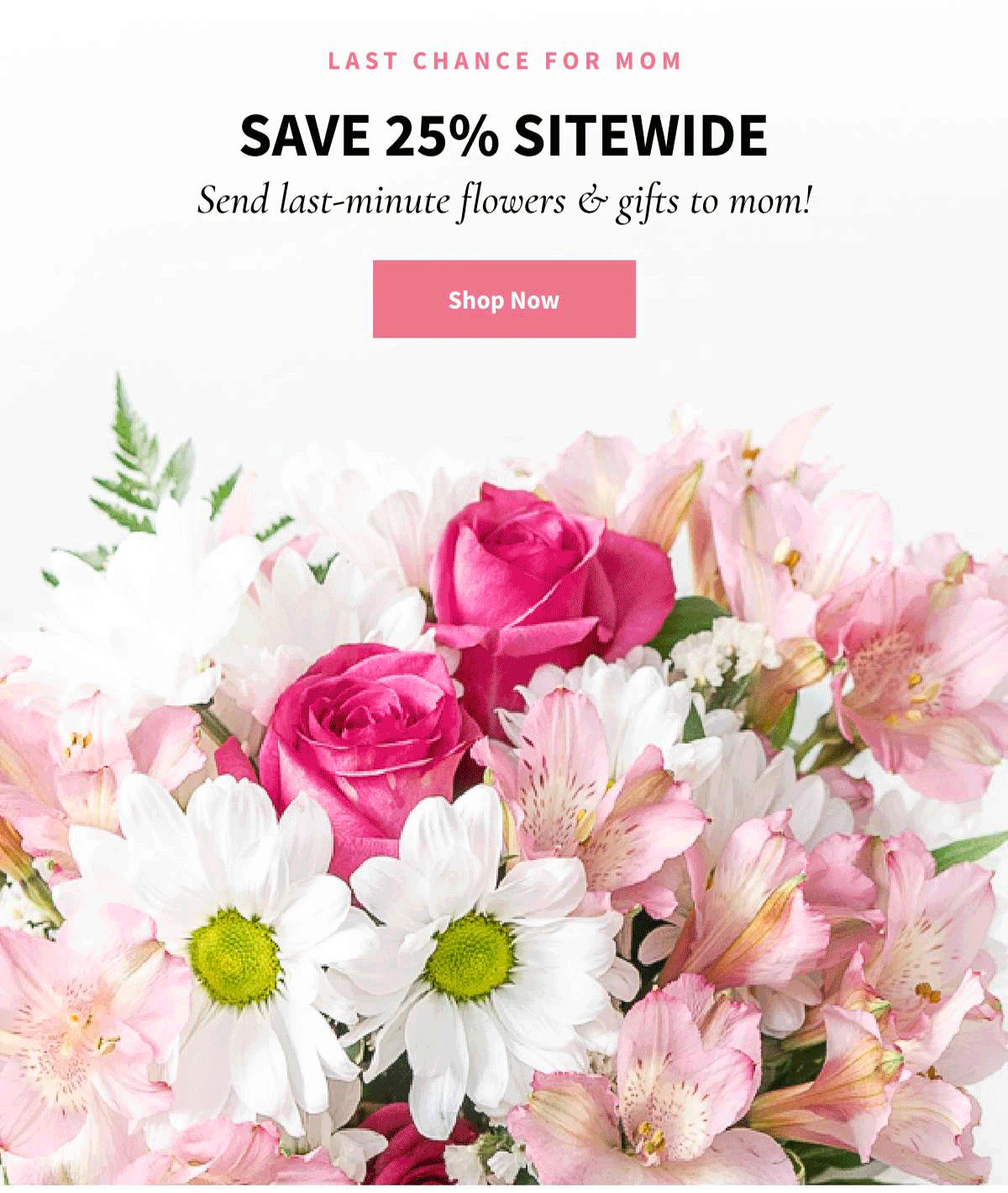 Save 25% Sitewide. Shop Now »