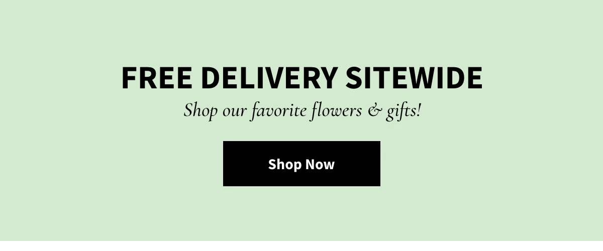 Free Delivery Sitewide -  Shop Now »