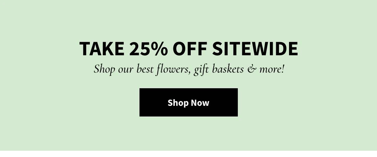 Take 25% Off Sitewide. Shop Now »