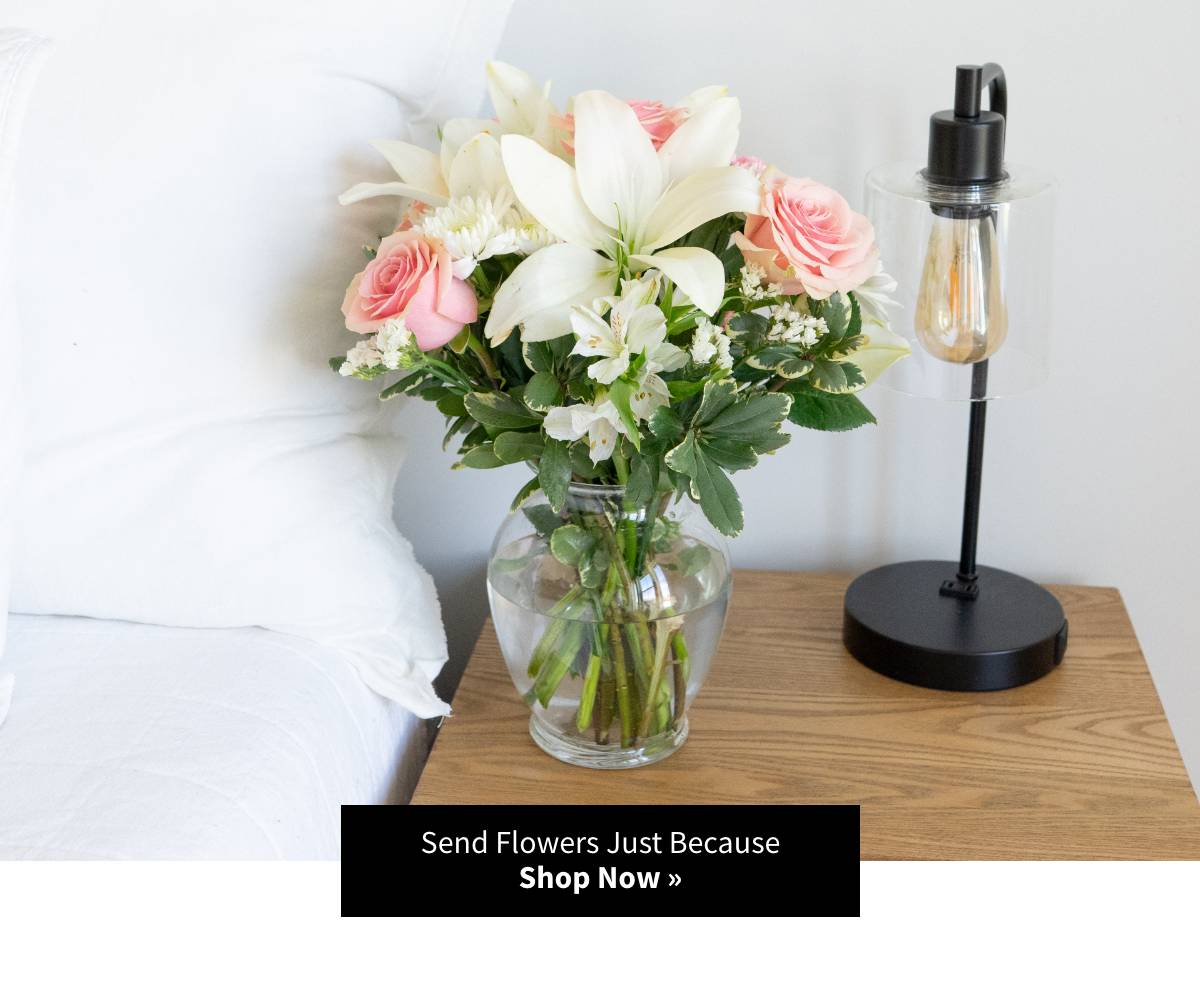 Send Flowers Just Because. Shop Now »