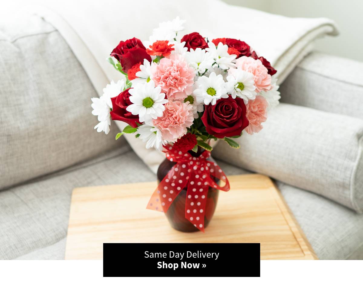 Same Day Delivery. Shop Now »