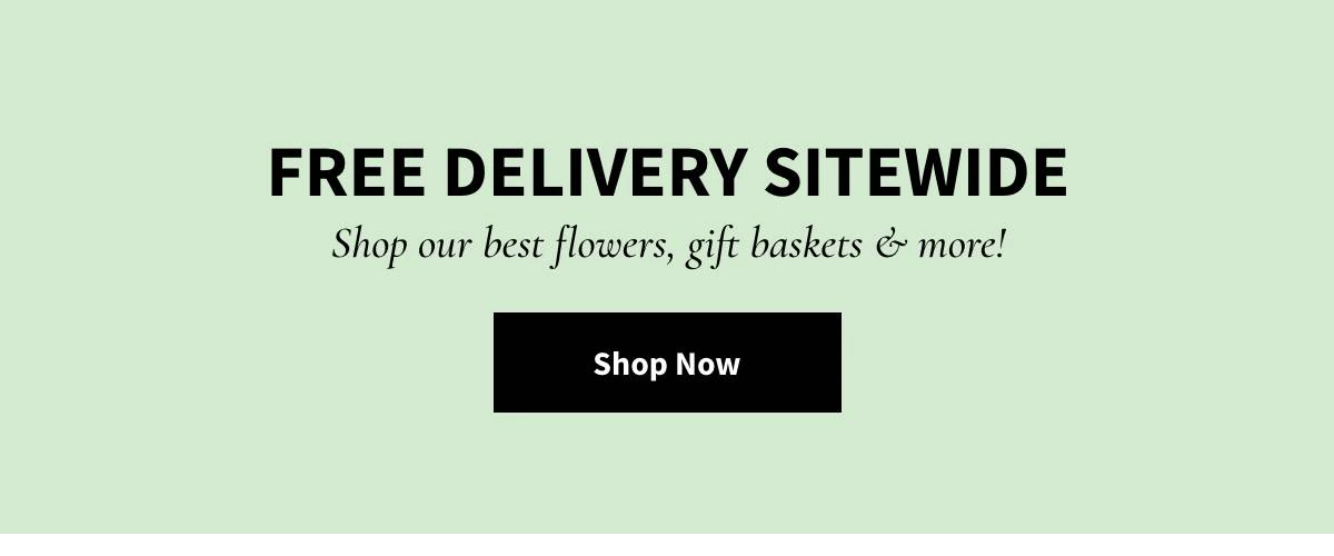 Free Delivery Sitewide -  Shop Now »