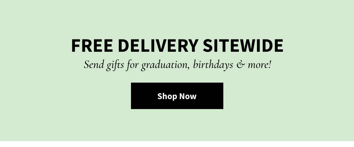 Free Delivery Sitewide - Shop Now