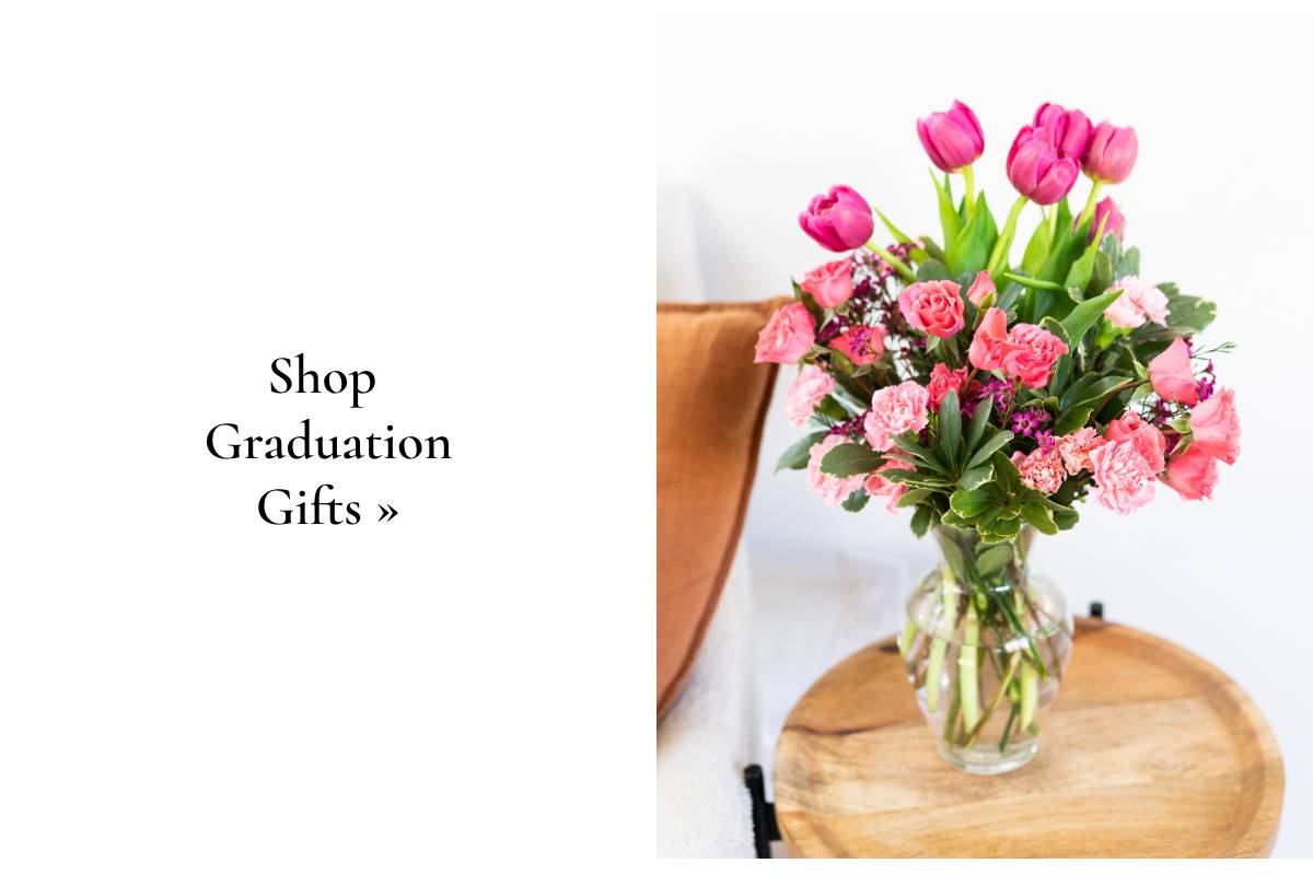 Shop Graduation Gifts »