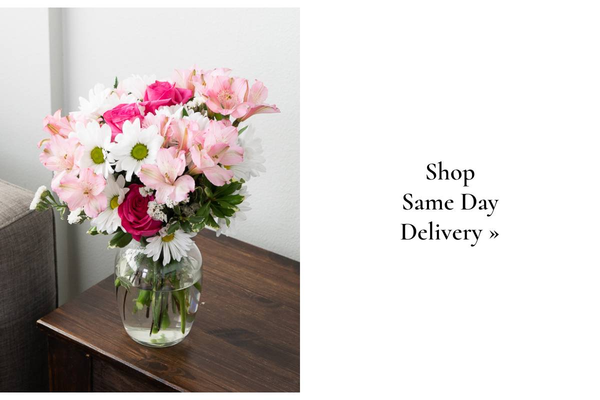 Shop Same Day Delivery »