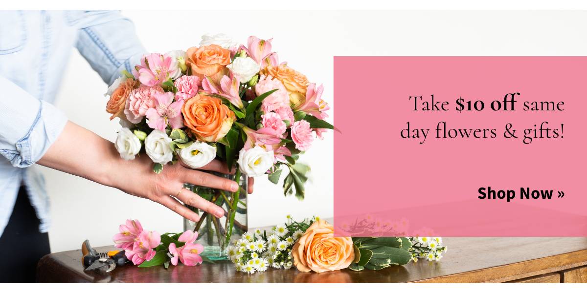 Take $10 off same day flowers & gifts! Shop Now »