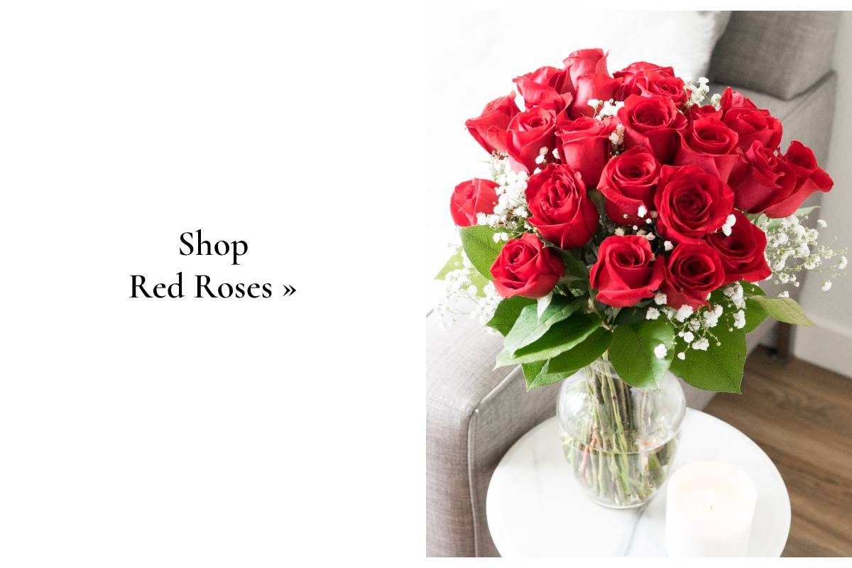 Shop Red Roses »
