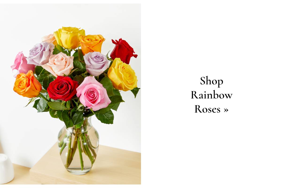 Shop Rainbow Roses »