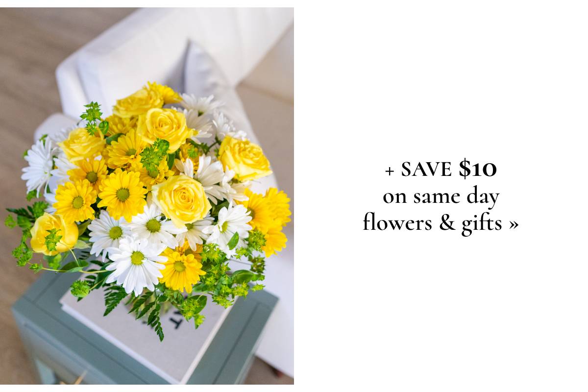 + Save $10 on same day flowers & gifts »