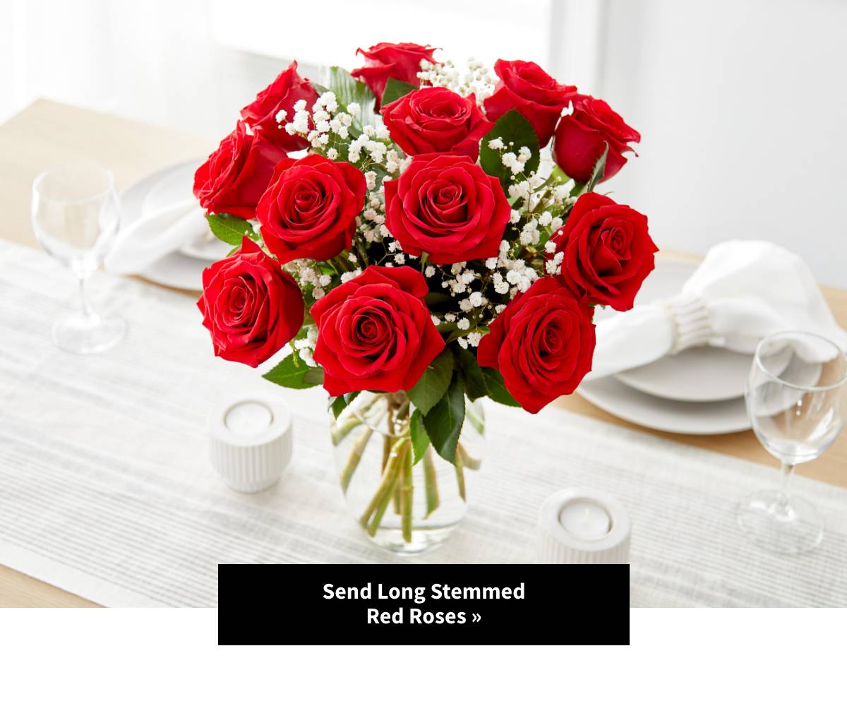 Send Long Stemmed Red Roses. Shop Now »