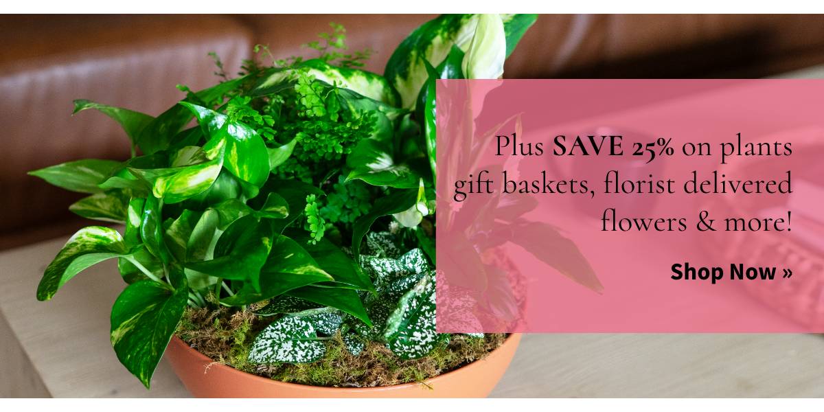+ Save 25% on plants, gift baskets, florist delivered flowers & more! Shop Now »