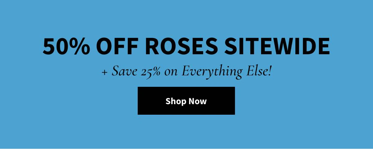 50% Off Roses Sitewide. Shop Now »