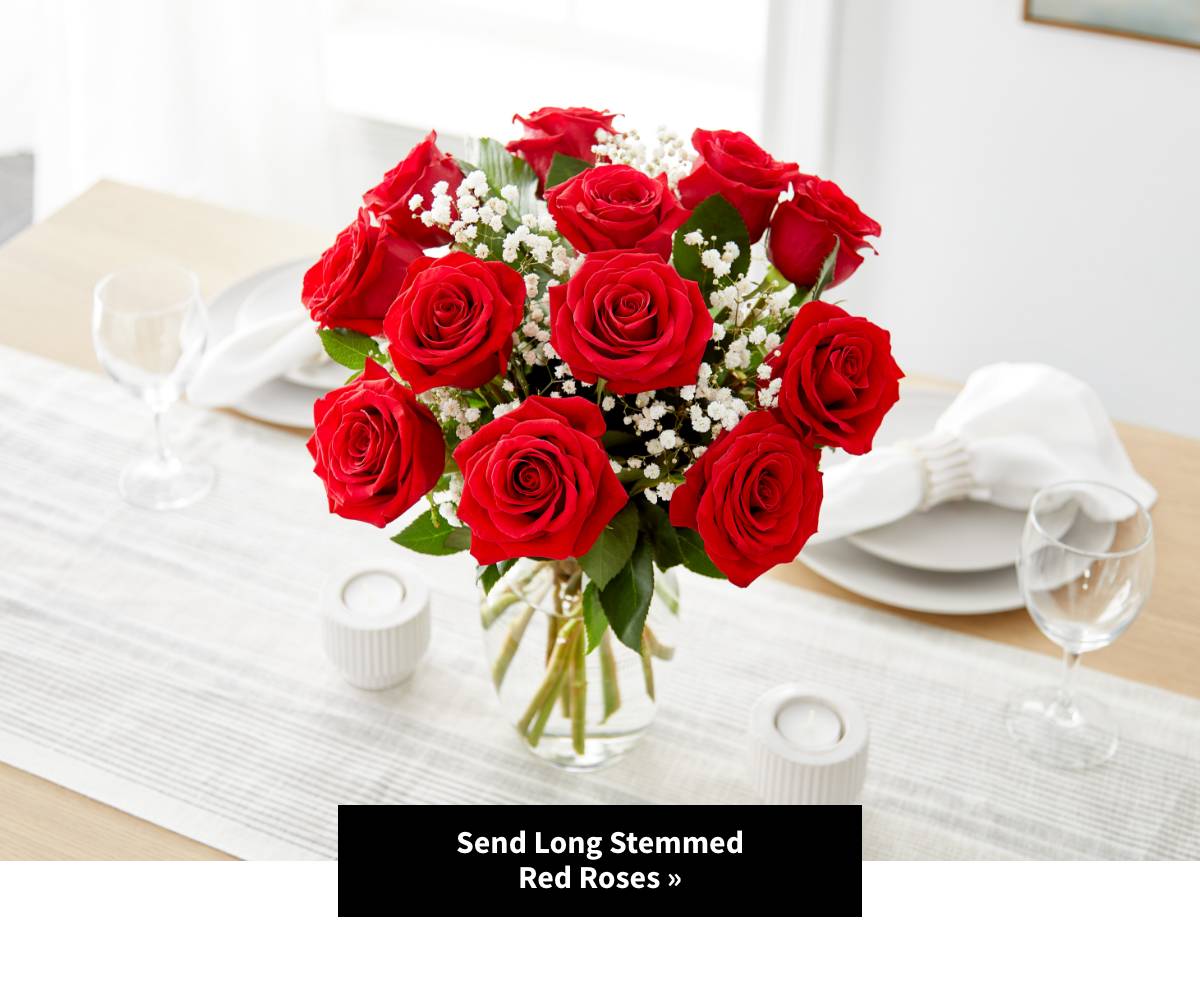 Shop Long Stemmed Red Roses. Shop Now »