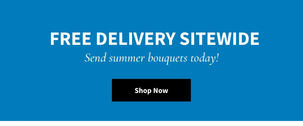 Free Delivery Sitewide -  Shop Now »