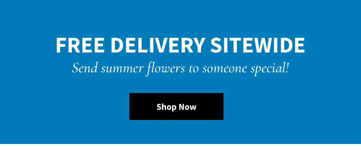 Free Delivery Sitewide - Shop Now »