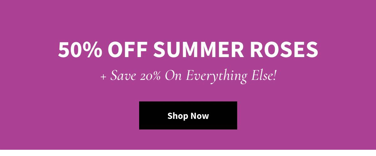 50% Off Summer Roses -  Shop Now »
